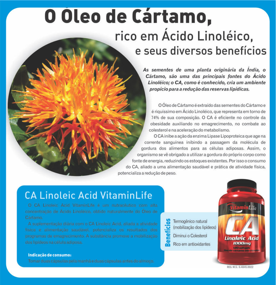 Cartamo_Vitaminlife_loja_projeto_verao